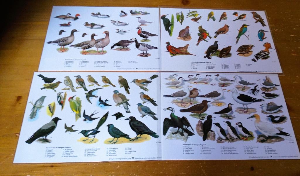 8 platen met vogels, Doe-het-zelf en Verbouw, Platen en Panelen, Ophalen of Verzenden, Zo goed als nieuw