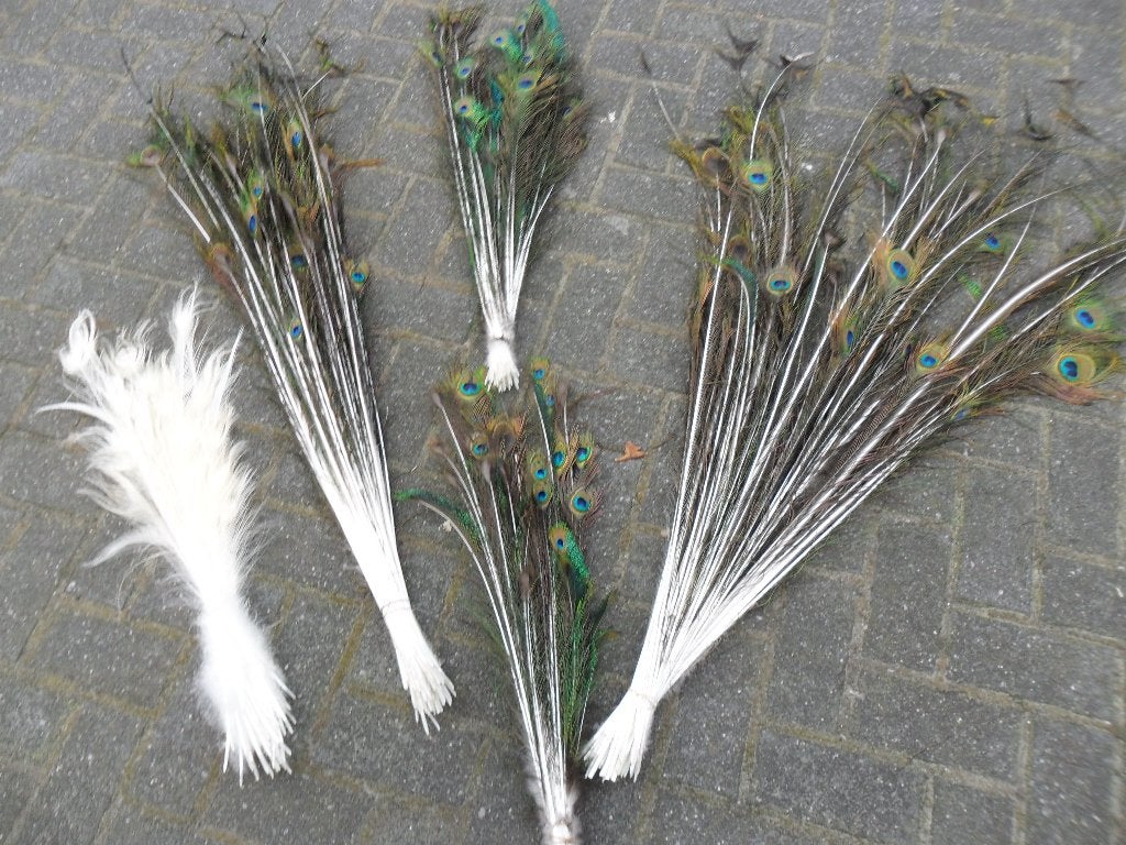 huis en inrichting., Natuurlijk materiaal, Nieuw, Ophalen of Verzenden, Meerkleurig