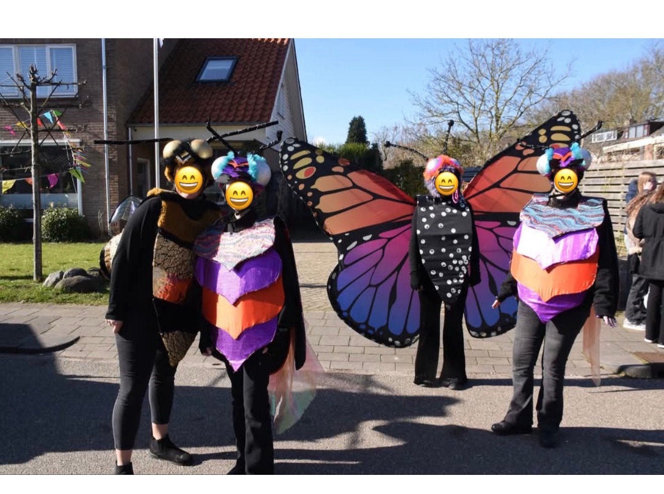 Carnavals pakken insecten, Ophalen, Gedragen, Carnaval, Kleding
