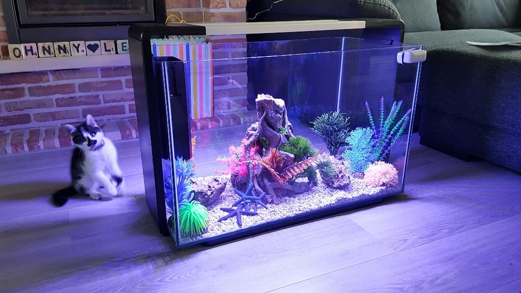 Superfish Home 110 Aquarium Black Inclusief Alle Toebehoren, Ophalen, Zo goed als nieuw, Verlichting of Verwarming