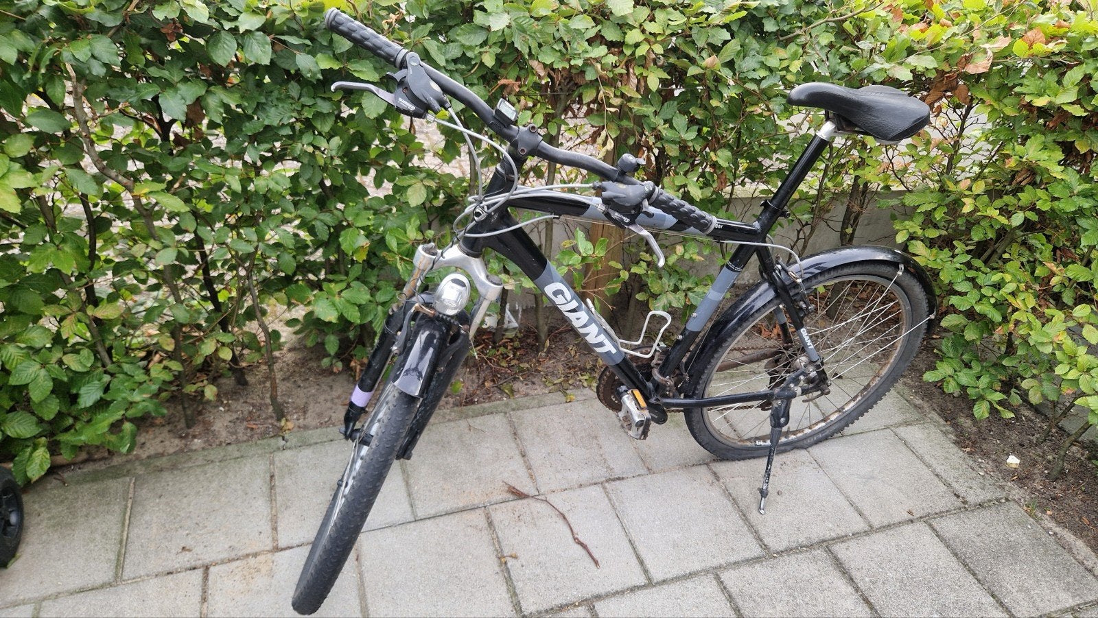 Giant Boulder Mountainbike - Opknapper, Ophalen, Gebruikt, Velgrem, Giant