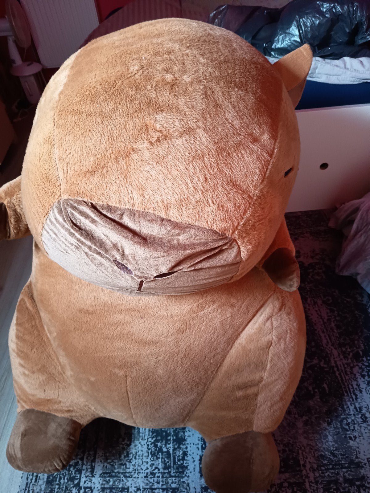 Grote Capi Bara knuffel, Ophalen, Nieuw, Bruin, Groot (groter dan 80 cm)