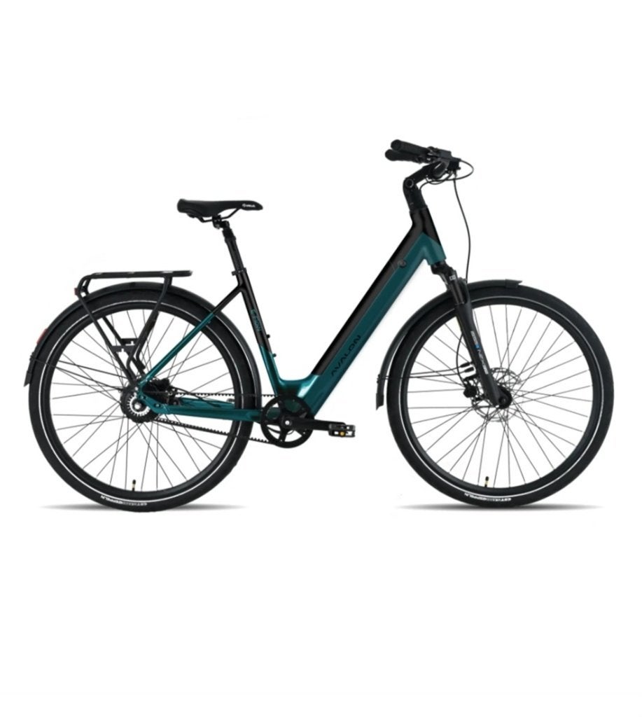 NIEUWE FIETS, de Avalon E-Flow voor €2099,- (504 Wh accu), Fietsen en Brommers, Elektrische fietsen, Overige merken, Avalon b.v.