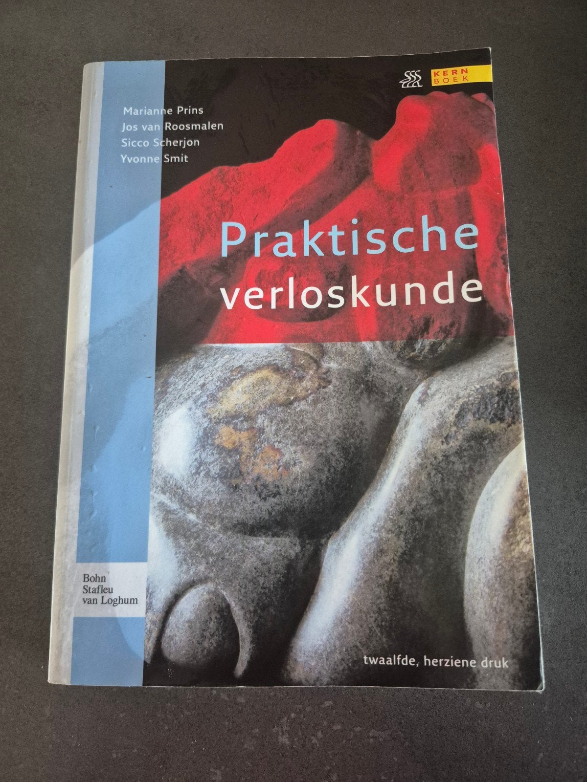 Praktische verloskunde - Twaalfde, herziene druk, Gelezen, Marianne Prins, Jos van Roosmalen, Sicco Scherjon, Yvonne Smit, Beta