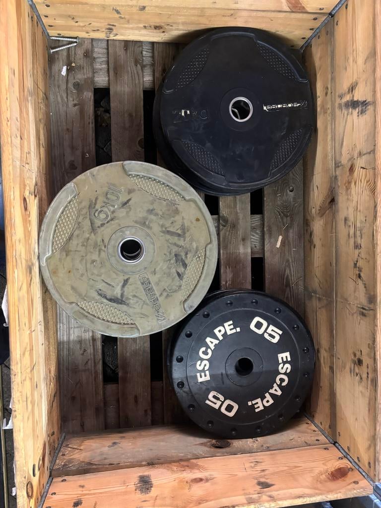 100 kg Escape Bumperplates