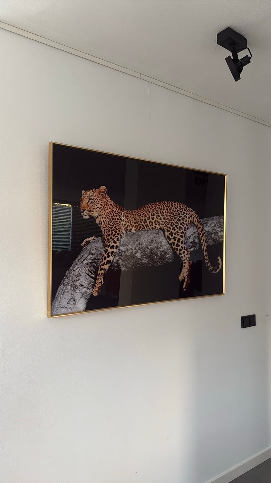 Prachtige Luipaard op tak in mooie lijst, 50 – 75, Ophalen of Verzenden, Zo goed als nieuw, 75 tot 100 cm