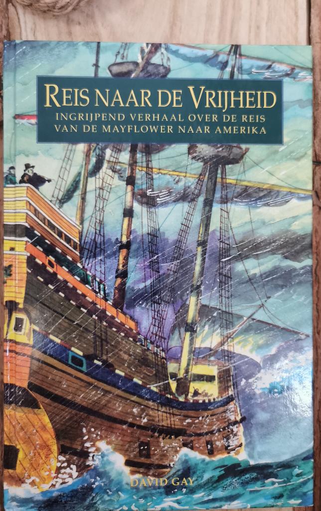 436 ..David Gay - Reis naar de vrijheid, Ophalen of Verzenden, Zo goed als nieuw, Fictie algemeen