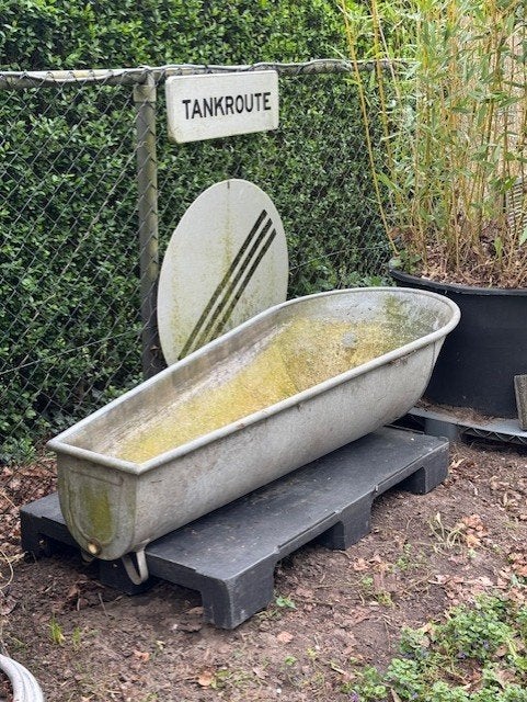 vintage zinken bad en trog, Ophalen
