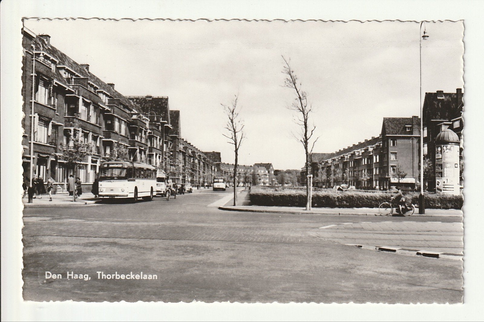 DEN HAAG THORBECKELAAN RECLA ZUIL KALE BOMEN AEC VERHEUL BUS, Ophalen of Verzenden, 1940 tot 1960, Ongelopen, Zuid-Holland
