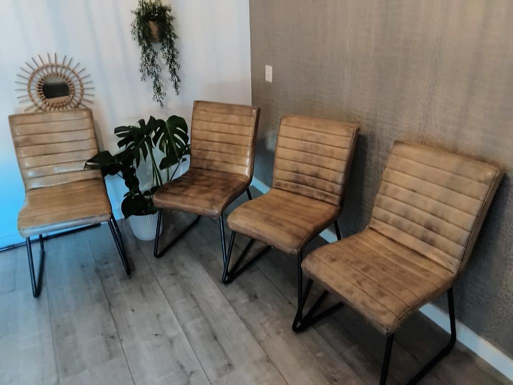 Eetkamerstoelen, Ophalen, Bruin