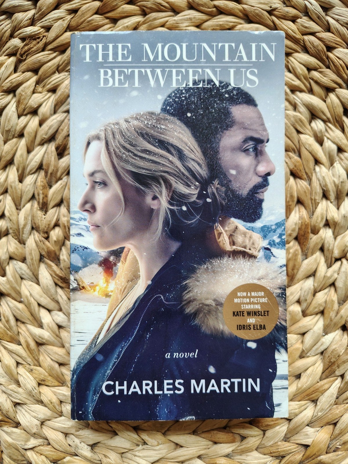 Charles Martin - The Mountain Between Us, Boeken, Romans, Ophalen of Verzenden
