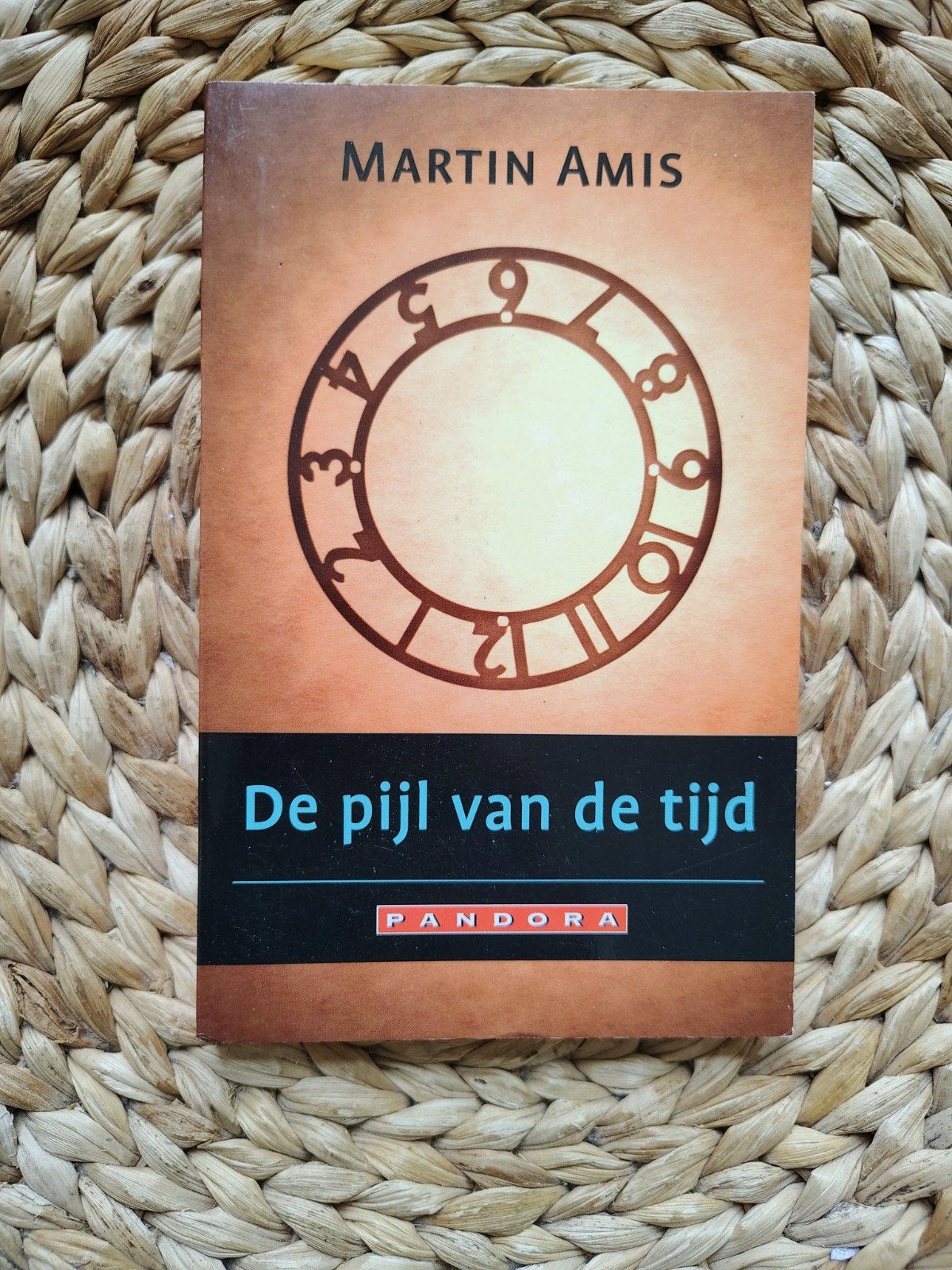 Martin Amis - De pijl van de tijd, Ophalen of Verzenden