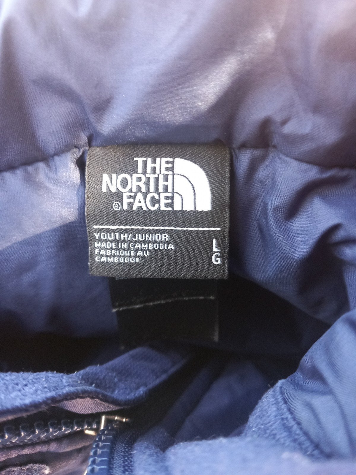 The north face jas Dryvent, Maat 52/54 (L), Blauw, Ophalen of Verzenden, Zo goed als nieuw