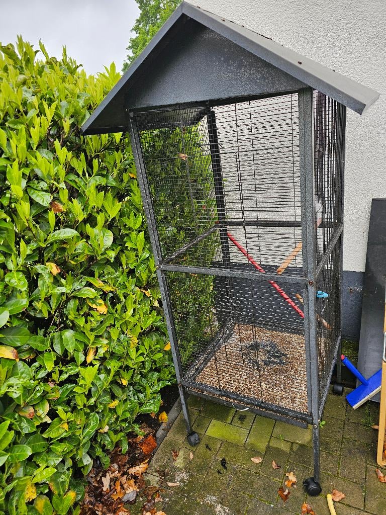 Kooie, Ophalen of Verzenden, Zo goed als nieuw, Metaal, Vogelkooi