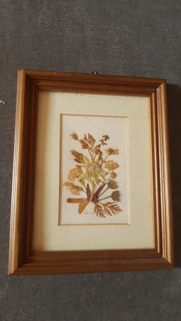 Schilderij Edelweiss, Overige technieken, Ophalen of Verzenden, Klassiek, Bloemen