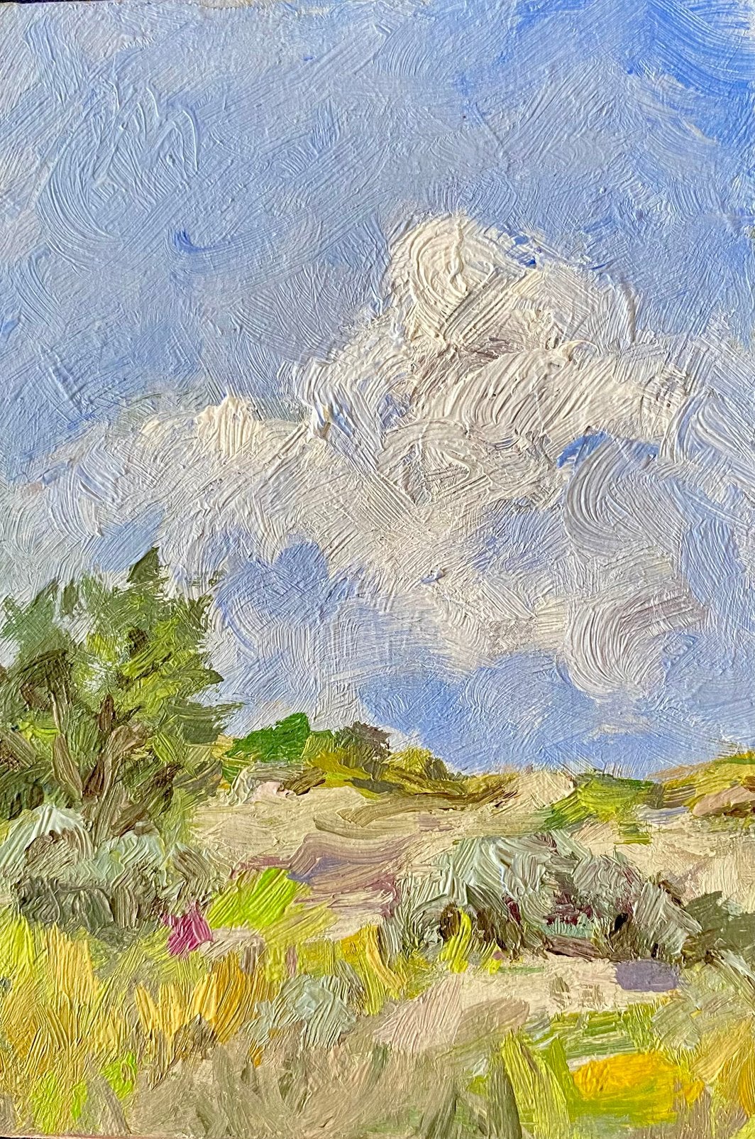 Landschap, Ophalen of Verzenden