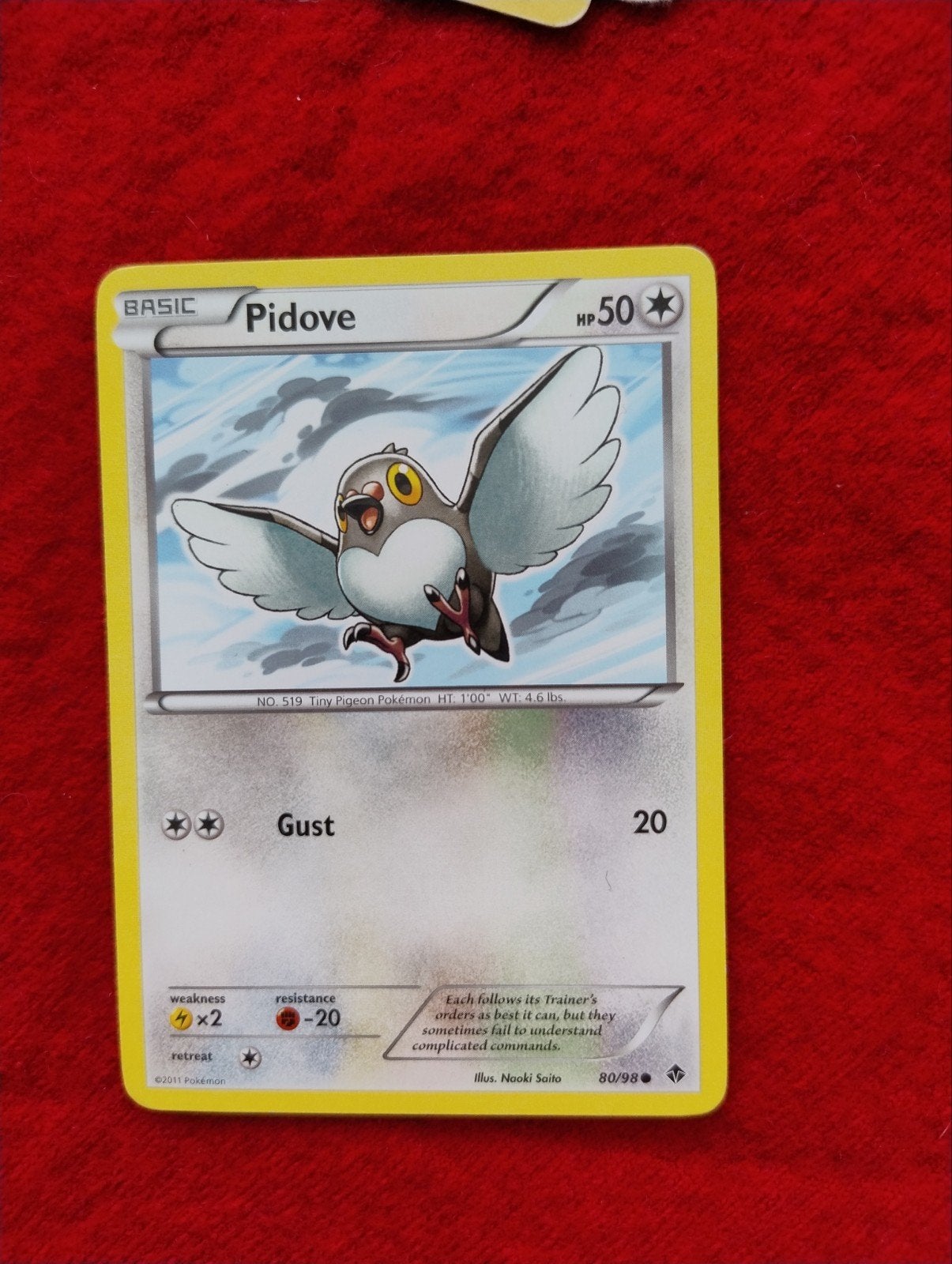 Pokémon Kaart Pidove (80/98) - Basic HP50, Ophalen of Verzenden, Nieuw, Losse kaart