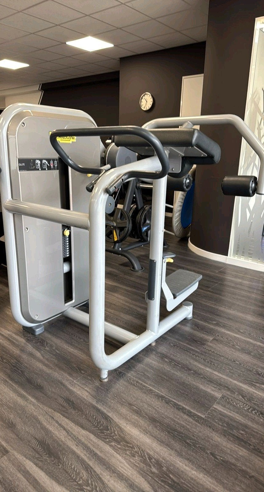 tecnhogym element glute machine, Sport en Fitness, Ophalen of Verzenden, Zo goed als nieuw, Overige typen