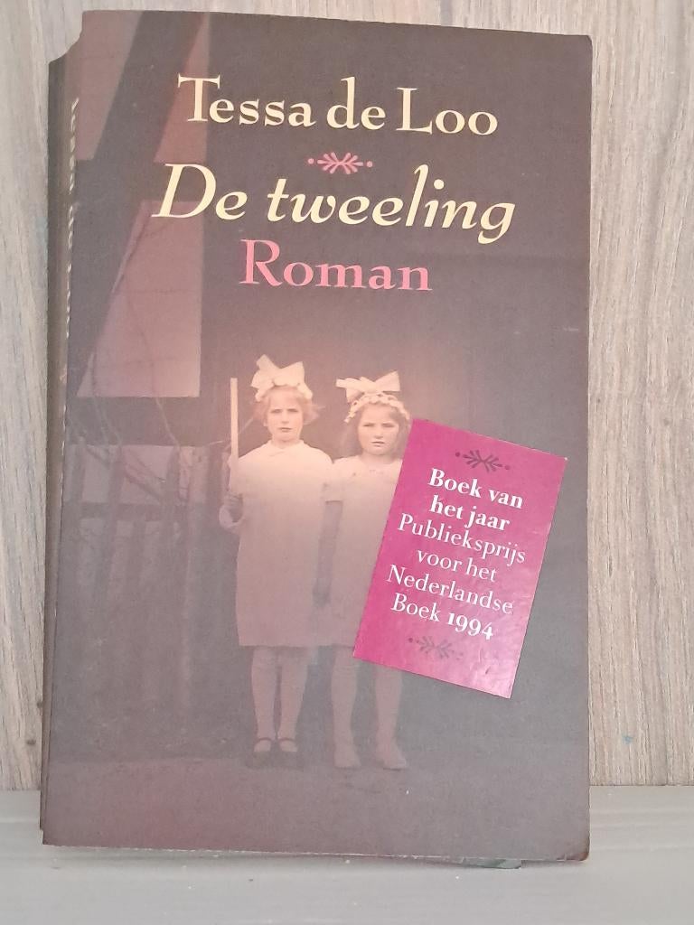 Roman | Tessa de Loo | Meeslepende vertelling, Boeken, Gelezen, Tessa de Loo, Ophalen of Verzenden, Nederland