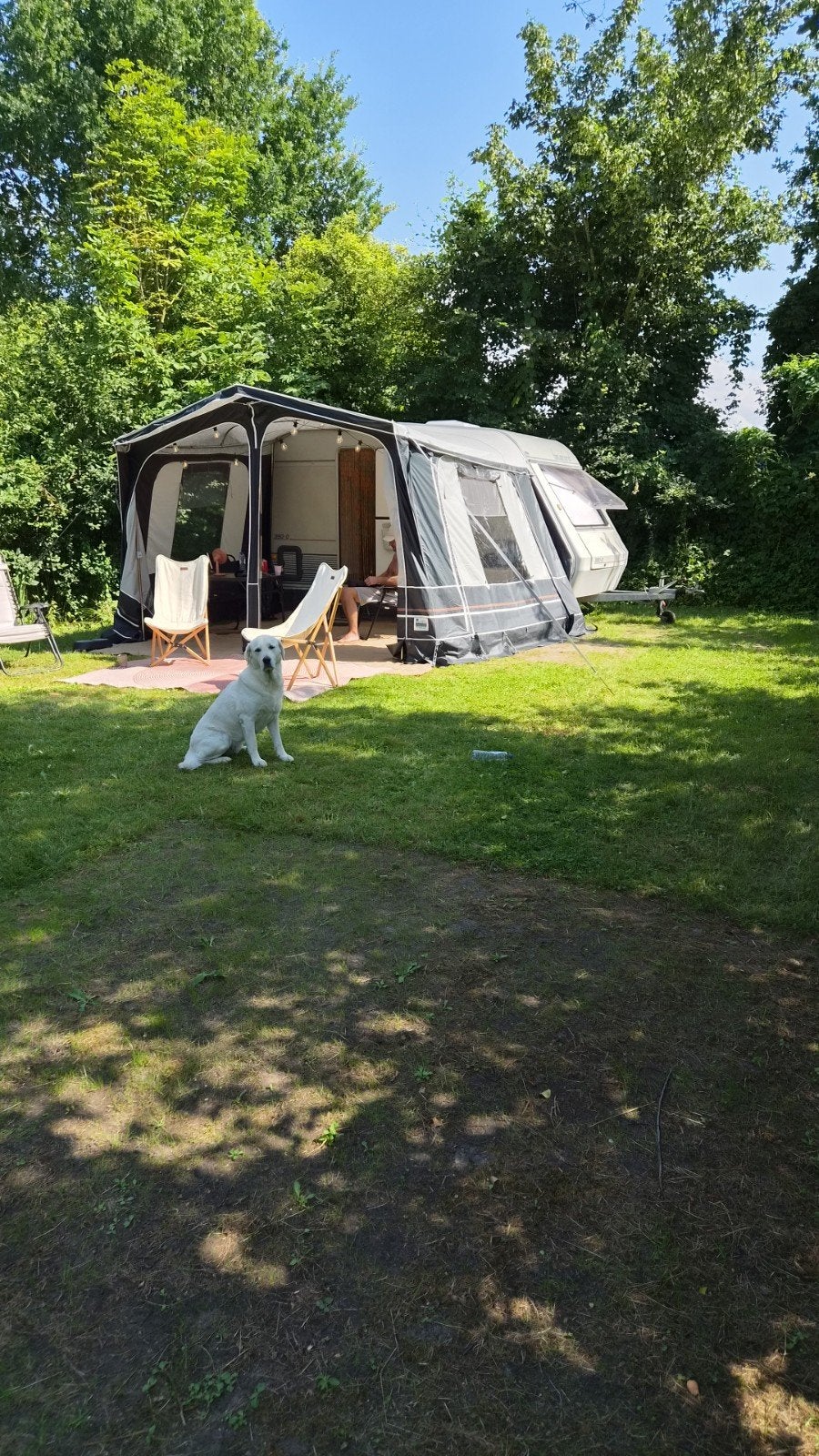 Gezellige en complete Beyerland 390-D Sprinter caravan, Caravans en Kamperen, Caravans, Koelkast, Frans bed, Kleine zit, Particulier