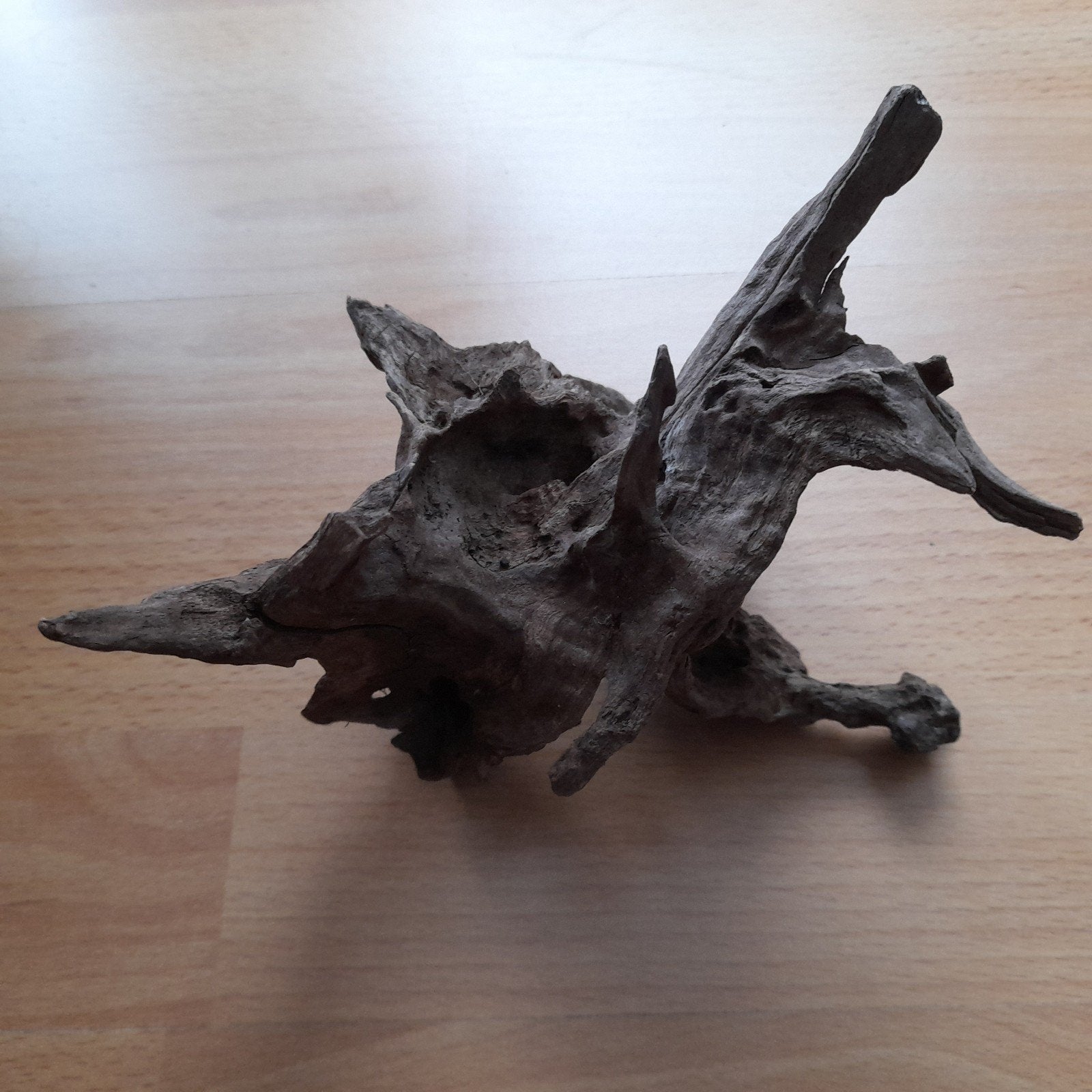 Decoratie Aquarium hout, Ophalen, Zo goed als nieuw, Plant(en), Steen of Hout