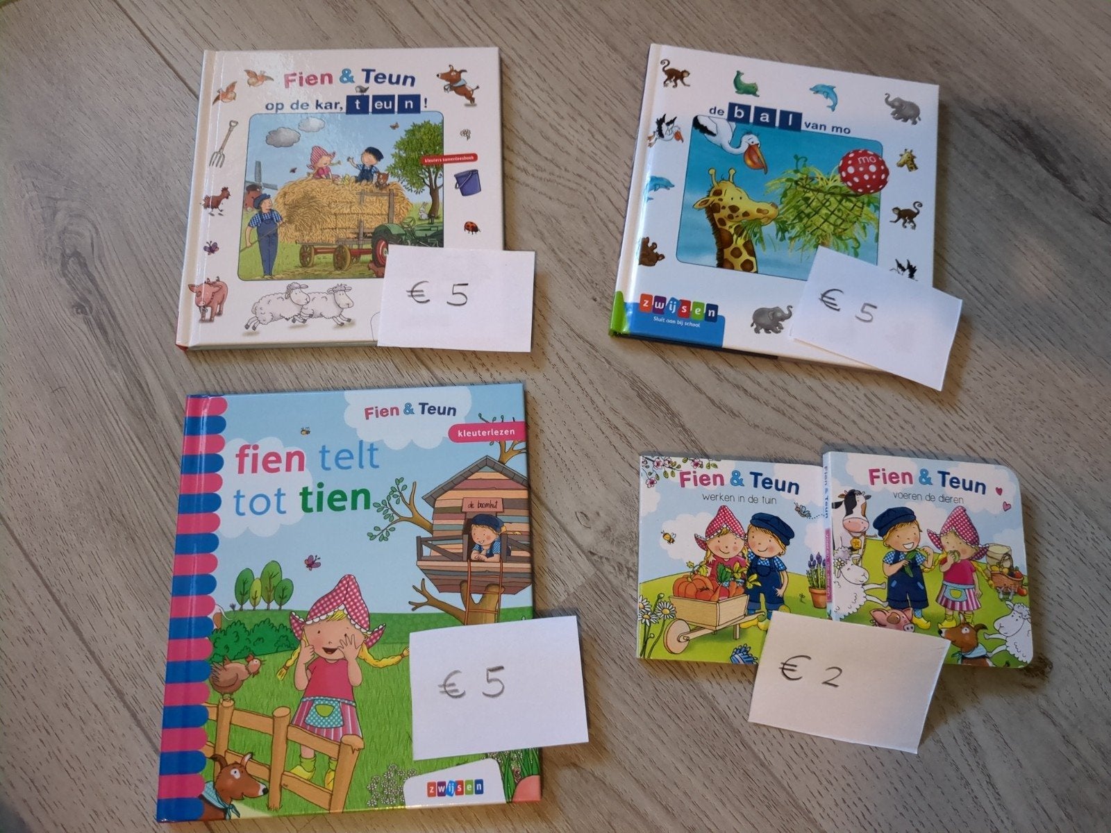 Samenlees/kleuter boekjes, Fien en Teun, Ophalen of Verzenden, Zo goed als nieuw