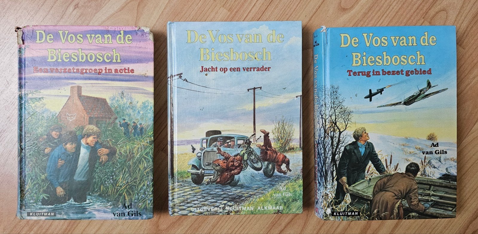 Ad van Gils - De Vos van de Biesbosch, Boeken, Ophalen of Verzenden, Gelezen, Ad van Gils