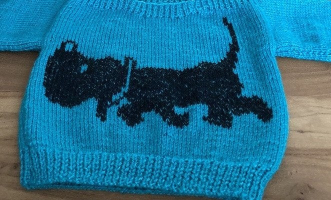 Takkie trui breipatroon, Ophalen of Verzenden, Zo goed als nieuw, Breien, Patroon of Boek