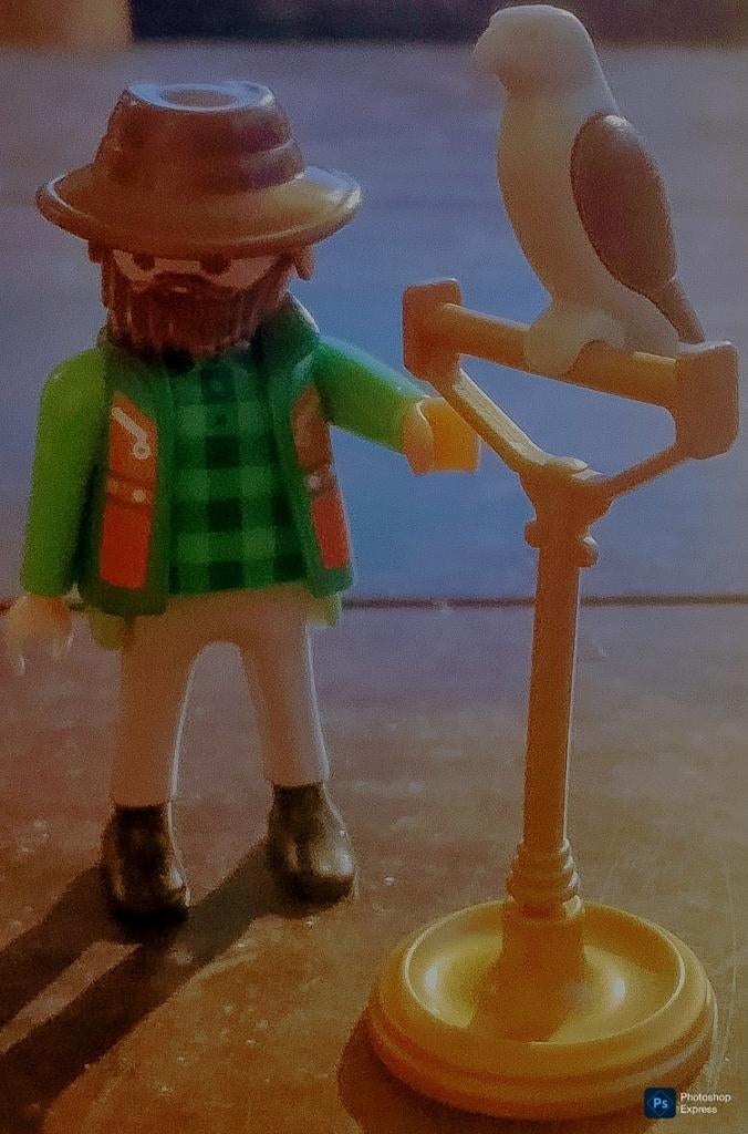 Roofvogel Op Vogelstandaard Met Man, Ophalen of Verzenden, Gebruikt, Los playmobil