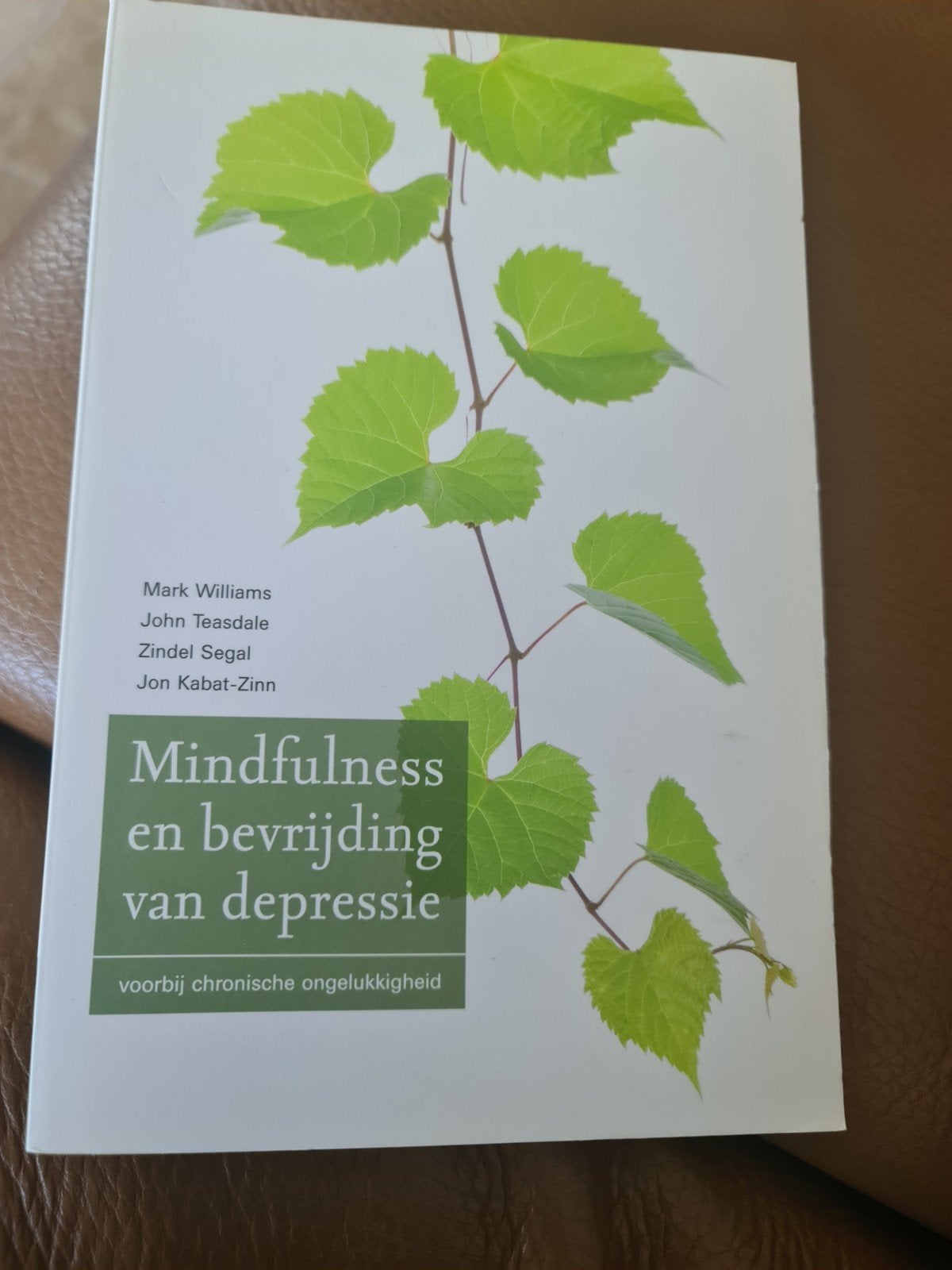 Mindfulness en bevrijding van depressie - Mark Williams, Boeken, Ophalen of Verzenden, Zo goed als nieuw, Mark Williams