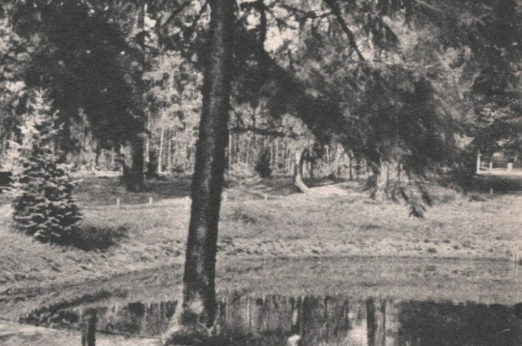 44086 Zeist Bruggetje in het bosch Nette kaart Onbeschreven, Ophalen of Verzenden, 1920 tot 1940, Ongelopen, Utrecht