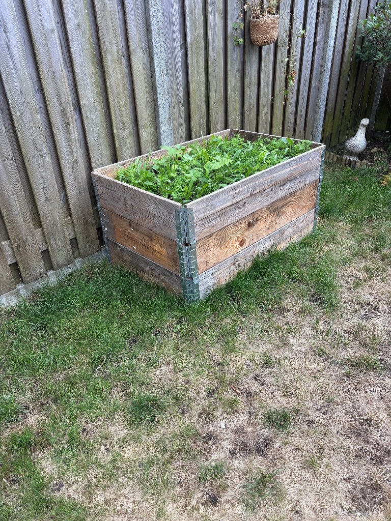 Gratis moestuinbak/plantenbak van houten palletranden, Tuin en Terras, Bloembakken en Plantenbakken, Ophalen, Gebruikt, 100 cm of meer