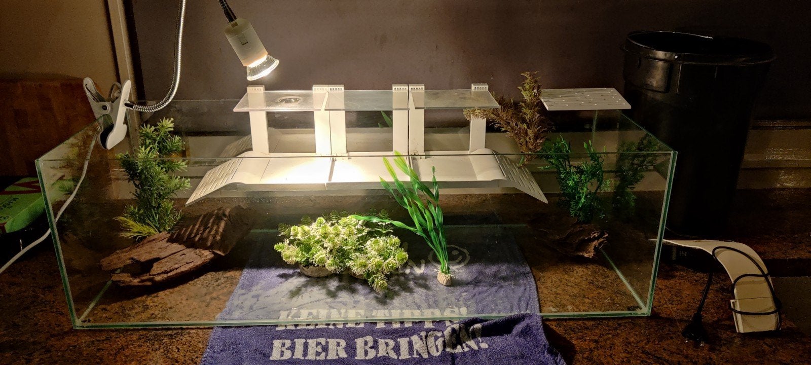 Schildpadden aquarium 80*30*24 hoog, Dieren en Toebehoren, Ophalen, Leeg aquarium
