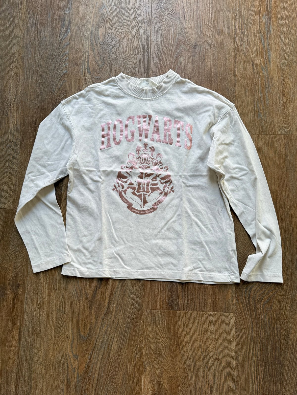 H&M Harry Potter Hogwarts Longsleeve 146/152, Kinderen en Baby's, Ophalen of Verzenden, Gebruikt, Jongen of Meisje, Shirt of Longsleeve