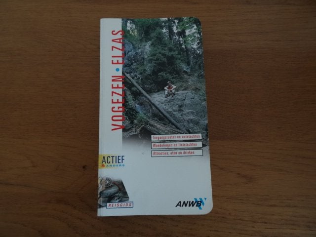anwb actief reisgids Vogezen en Elzas, Boeken, Reisgidsen, Gelezen, Europa, Ophalen of Verzenden, Reisgids of -boek