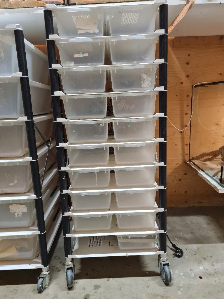 LP racks LP18, Dieren en Toebehoren, Reptielen en Amfibieën | Toebehoren, Ophalen, Gebruikt, Overige typen