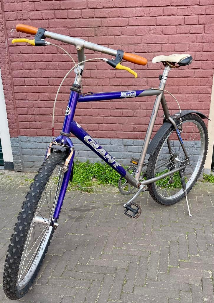 Large singlespeed Giant mtb atb, 57 cm of meer, Ophalen, Gebruikt, Giant