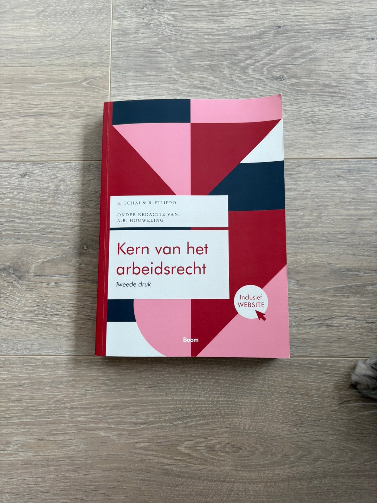 Kern van het arbeidsrecht, Ophalen of Verzenden, Zo goed als nieuw, WO