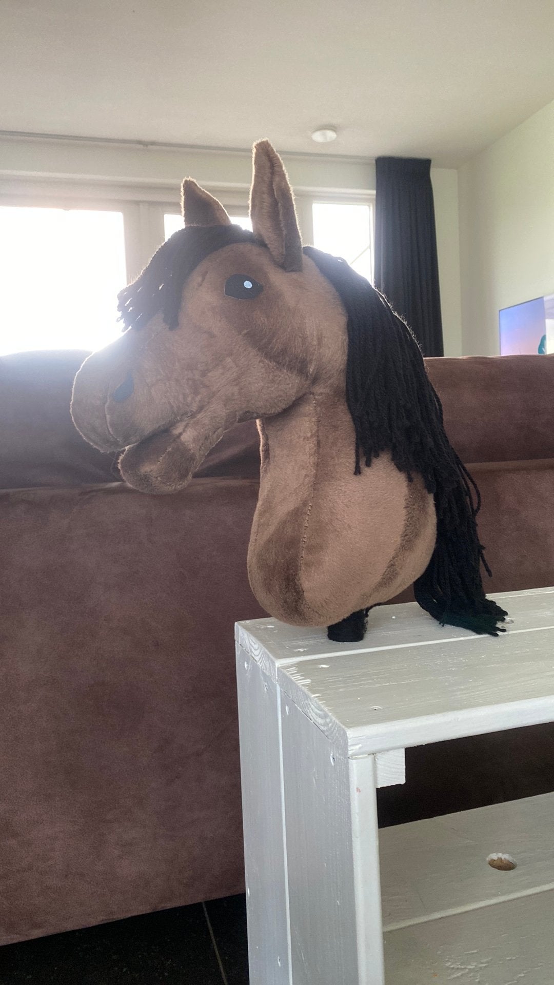 Hobbyhorse tekoop, Kinderen en Baby's, Speelgoed | Overig, Ophalen of Verzenden, Gebruikt, Jongen of Meisje