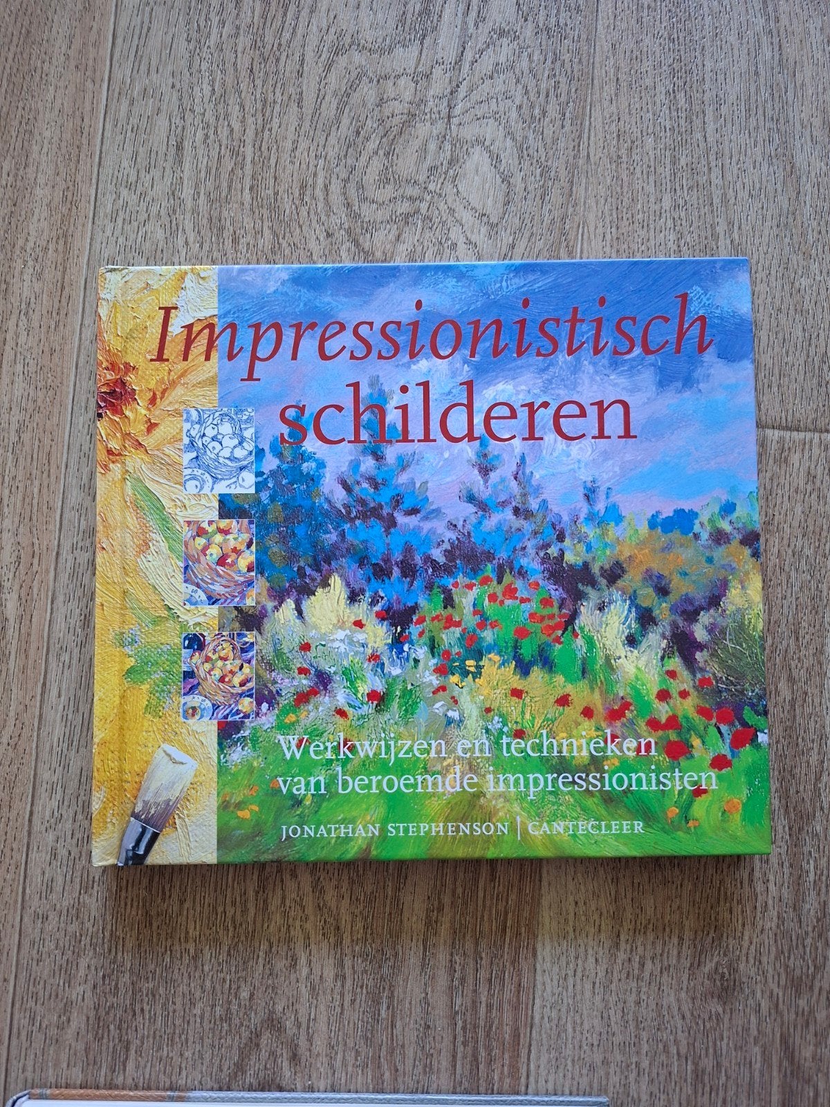 Impressionistisch schilderen, Gelezen, Jonathan Stephenson, Ophalen of Verzenden, Schilder- en Tekenkunst
