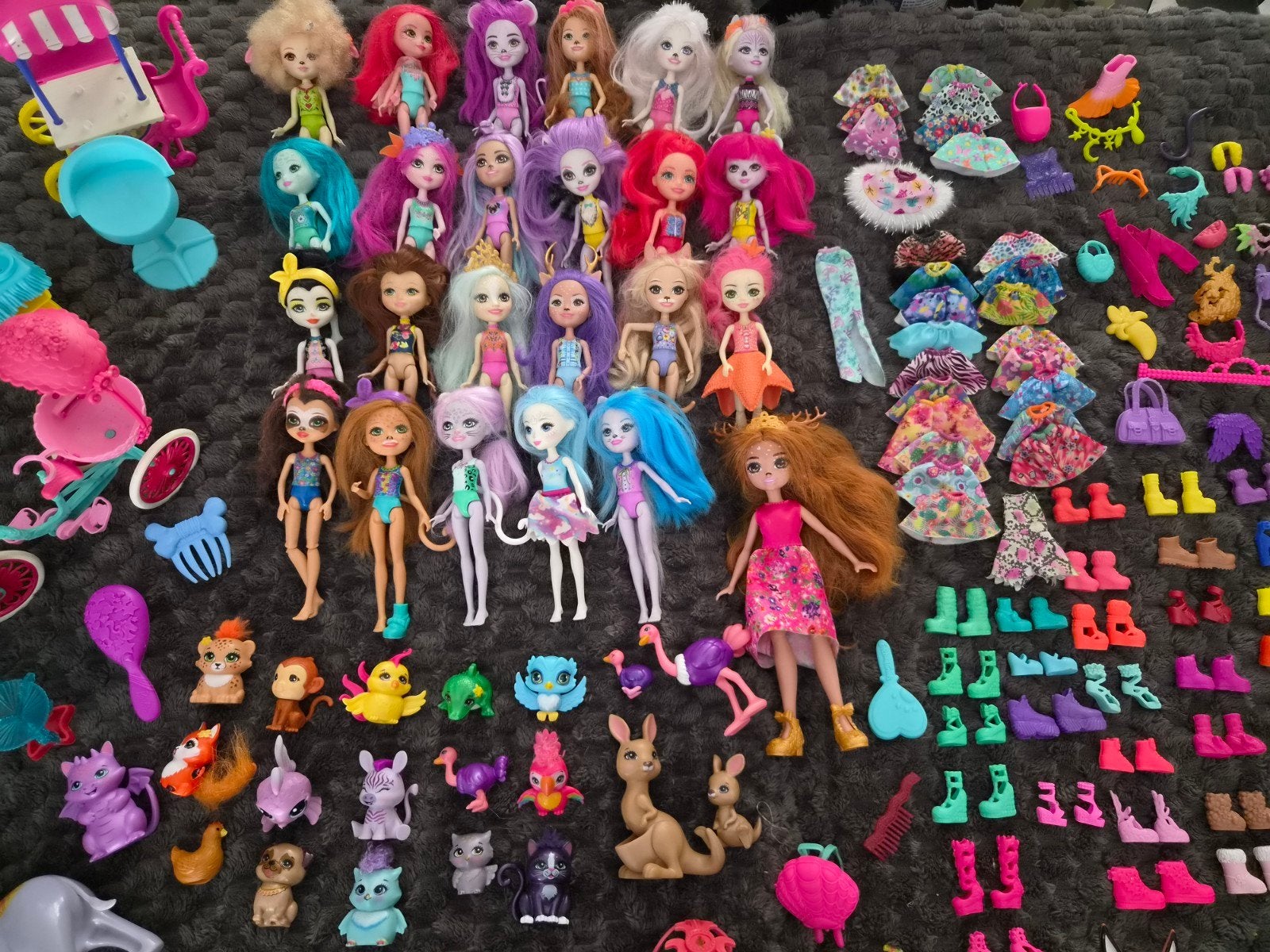 Enchantimals poppen met accessoires en diertjes, Ophalen