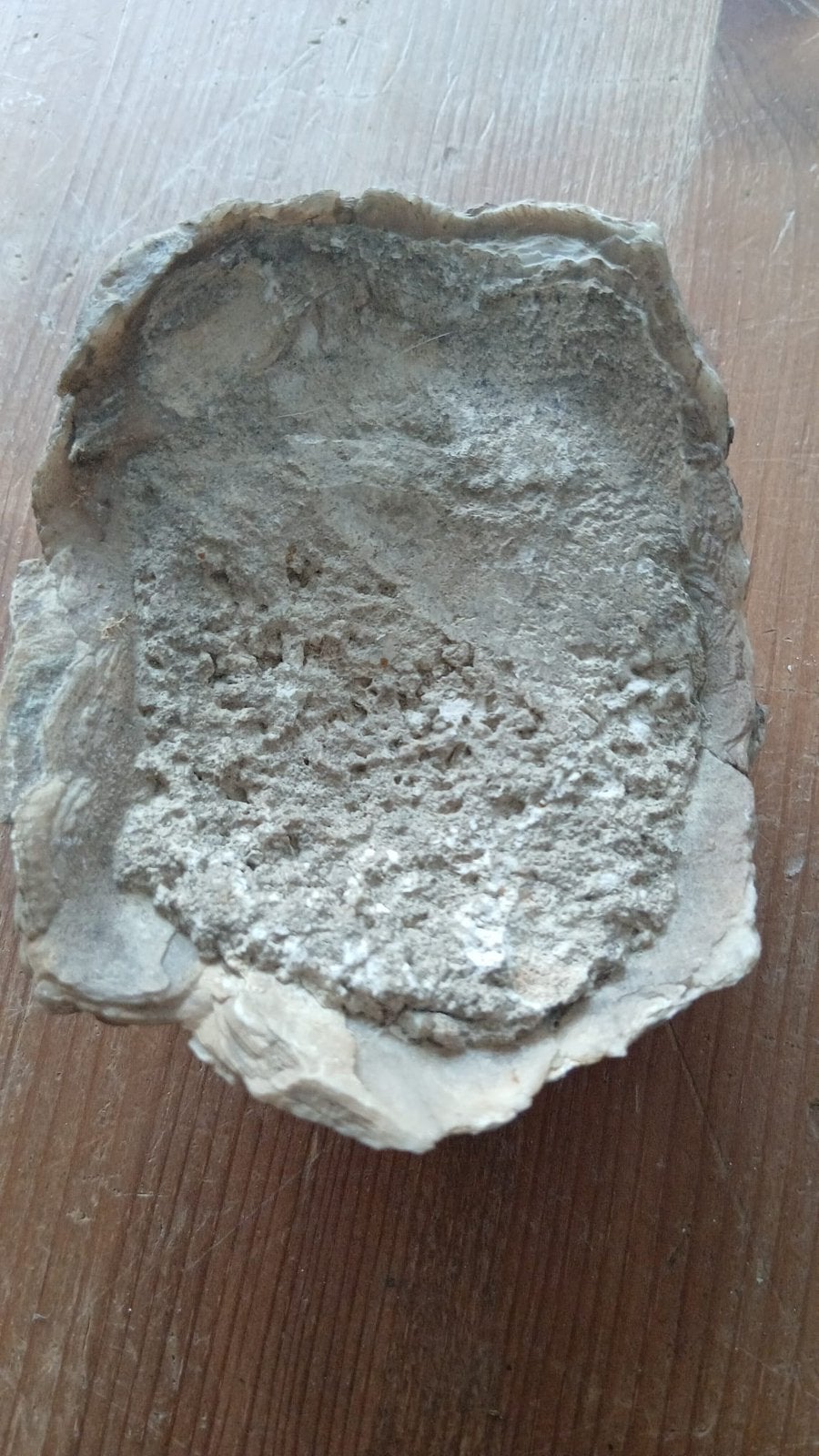 Versteende schelp, Ophalen, Zo goed als nieuw