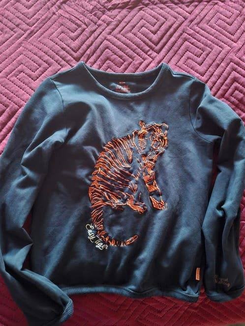 WE Fashion Trui Maat 146/152 met Tijger, Kinderen en Baby's, Kinderkleding | Maat 146, Trui of Vest, Ophalen of Verzenden, Zo goed als nieuw