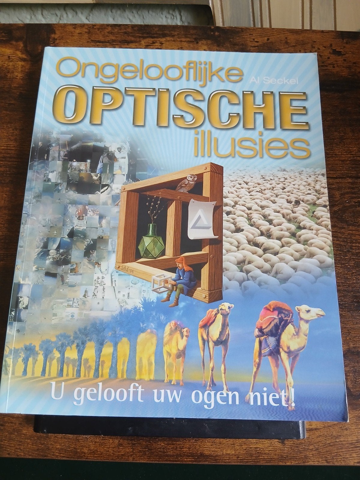 Ongelooflijke Optische Illusies - Al Seckel, Al Seckel, Ophalen of Verzenden, Zo goed als nieuw, Overige onderwerpen