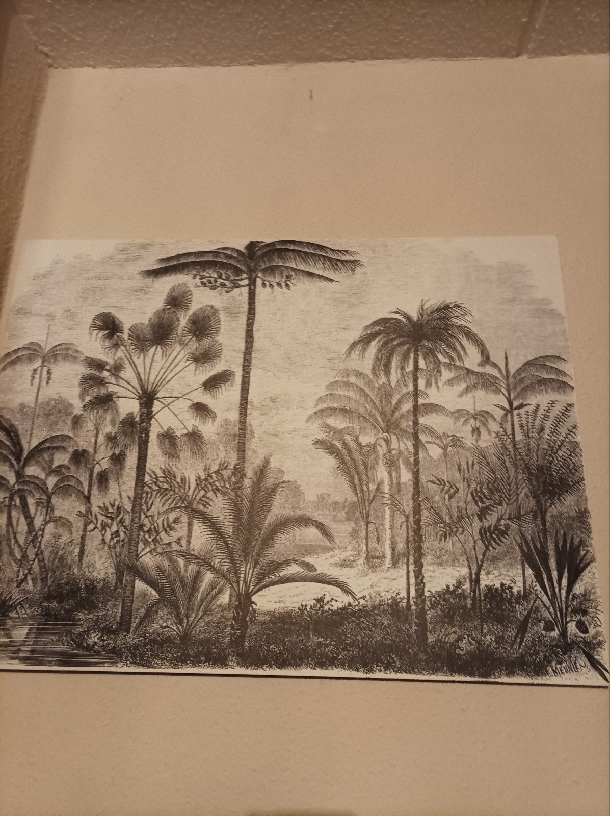 Botanische afbeelding op doek, Ophalen