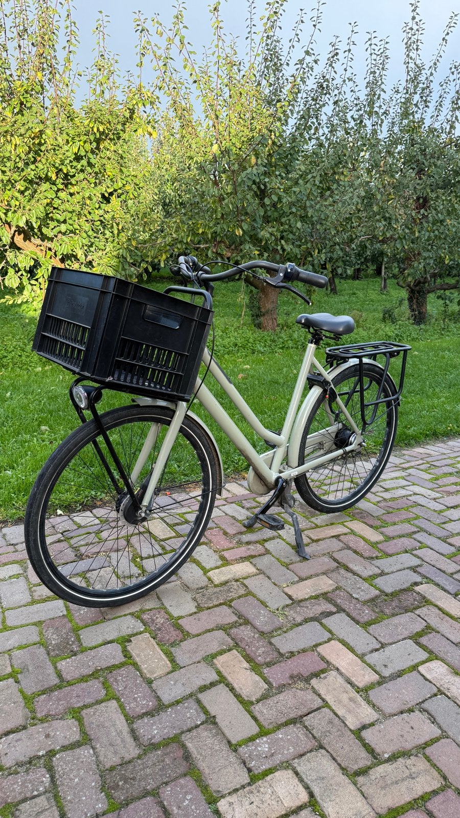 Gazelle heavy duty xl d59 meisjes / damesfiets, Ophalen, Terugtraprem, 53 tot 56 cm, Versnellingen