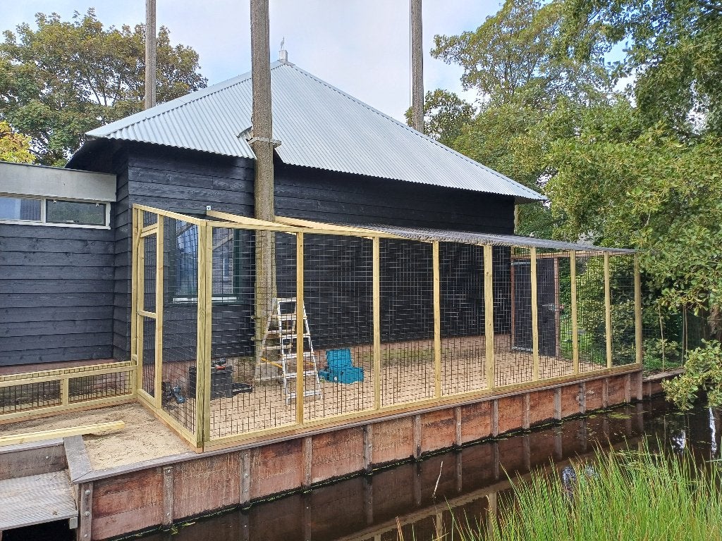 Kattenren Beijersche | Maatwerk | Duurzame materialen, Ophalen of Verzenden, Nieuw