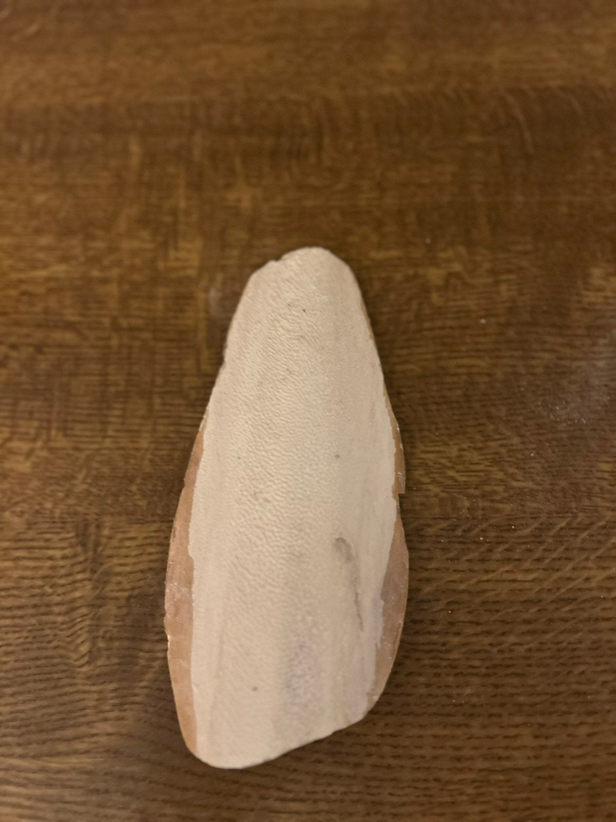 Sepia, natuurlijke calciumbron voor oa slakken, Ophalen, Nieuw, Overige typen