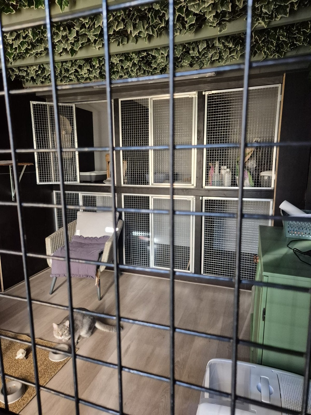 Kattenren op uw maat! Iedere kleur leverbaar., Dieren en Toebehoren, 4221LV, Info@vandoorntimmerwerken.com, Nieuw, Ophalen of Verzenden