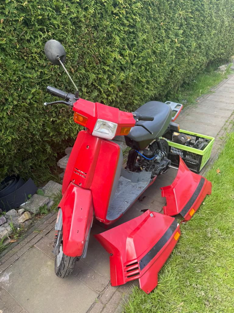 Peugeot rapido, Ophalen, Gebruikt, Overige modellen, 49 cc